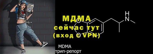 прущие грибы Арсеньев