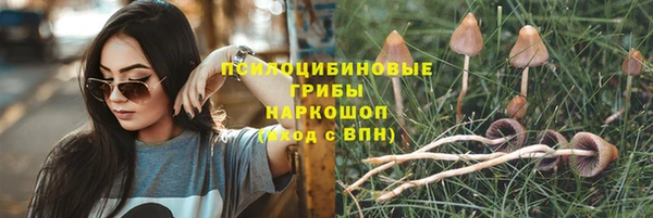 стаф Армянск